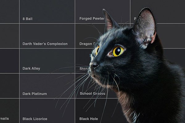 You Might be a Designer if…
